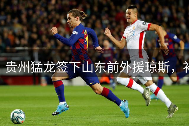 贵州猛龙签下山东前外援琼斯，补强内线实力